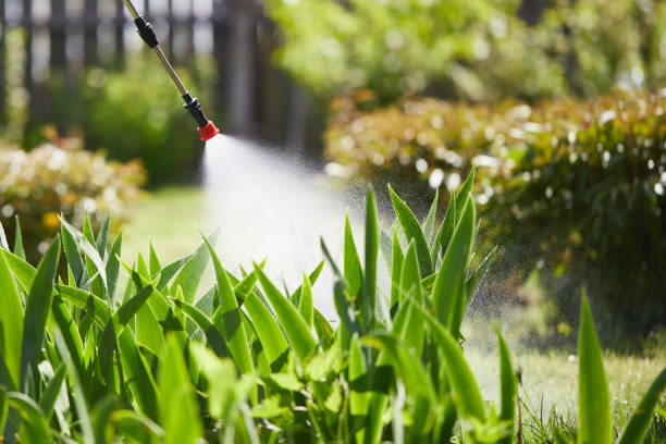 24/7 Emergency Mosquito Control experts in Corcoran, CA