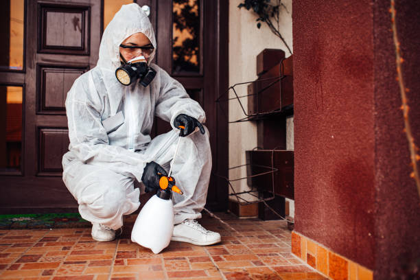 Reliable Mosquito Control contractor in Corcoran, CA by Nex Pest Control